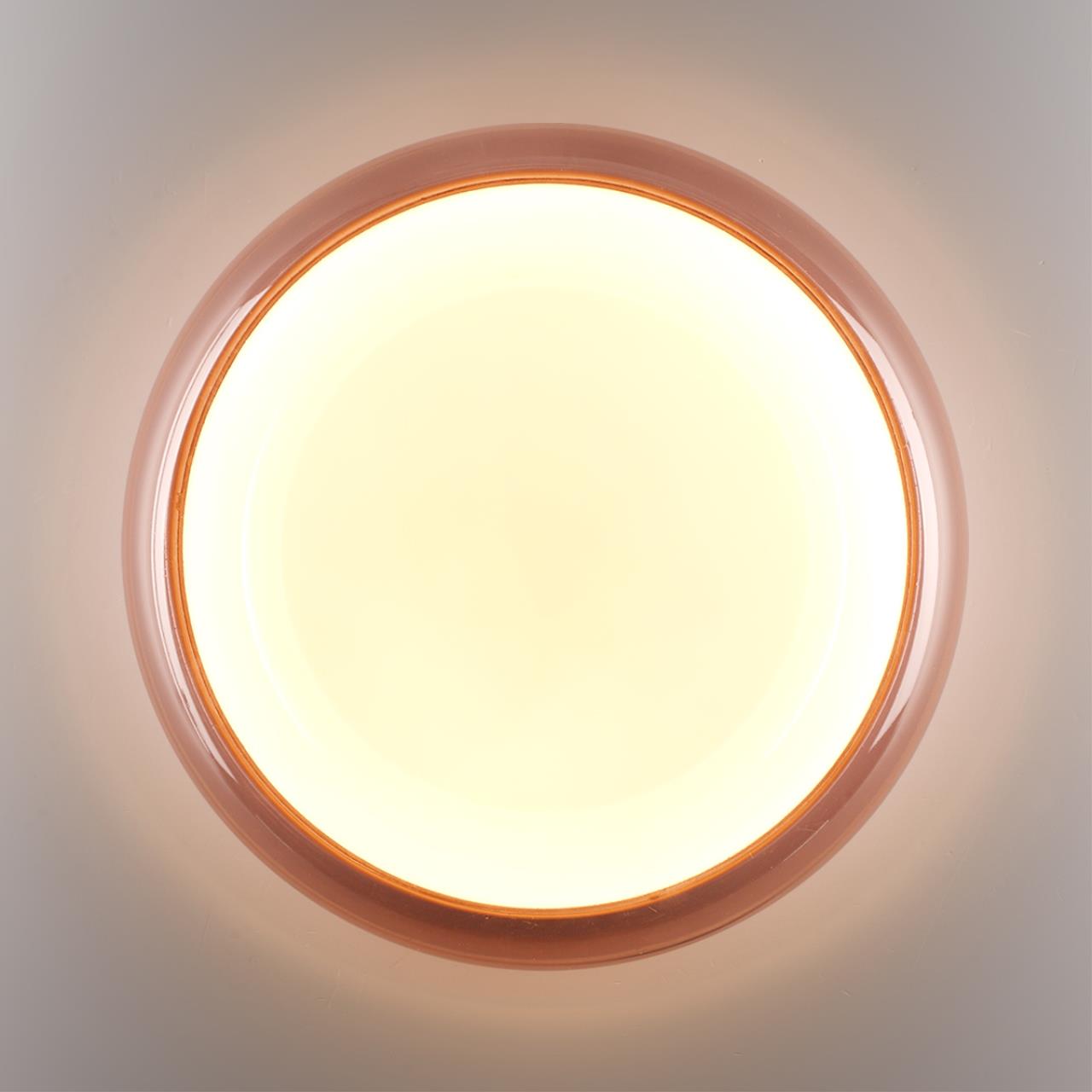7778/ELN COLOR SN 112 Светильник пластик/белый/розовый LED 76Вт 3000/4000/6000К D500 IP43 CCT PORTMAN — изображение 6