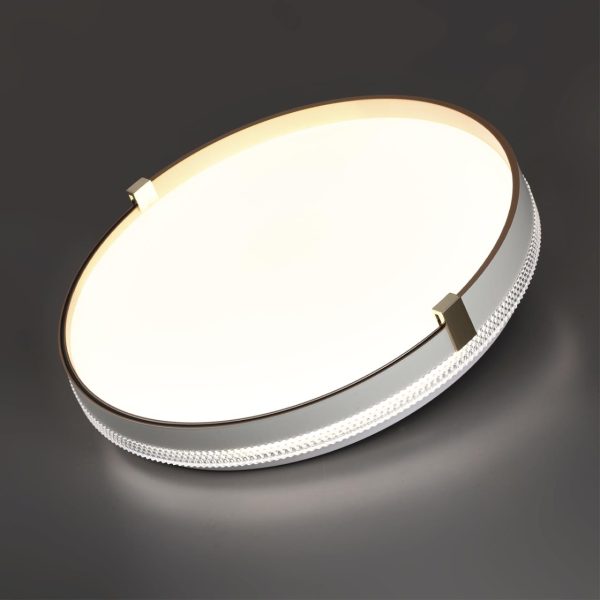 7646/ELN PALE SN 189 Светильник пластик/золотой LED 76Вт 3000/4000/6000К D490 IP43 CCT OLIDI WHITE — изображение 4