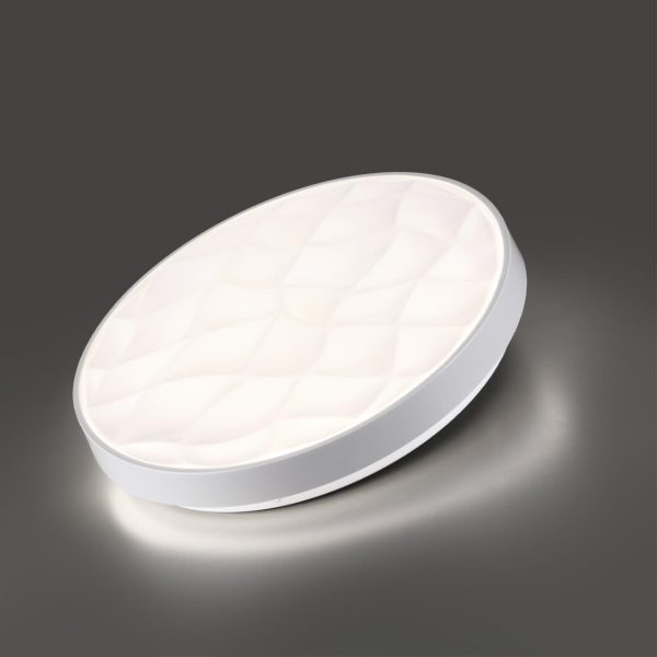 7672/DL PALE SN 204 Светильник пластик/белый LED 48Вт 4000К D380 IP43 GITUM — изображение 4