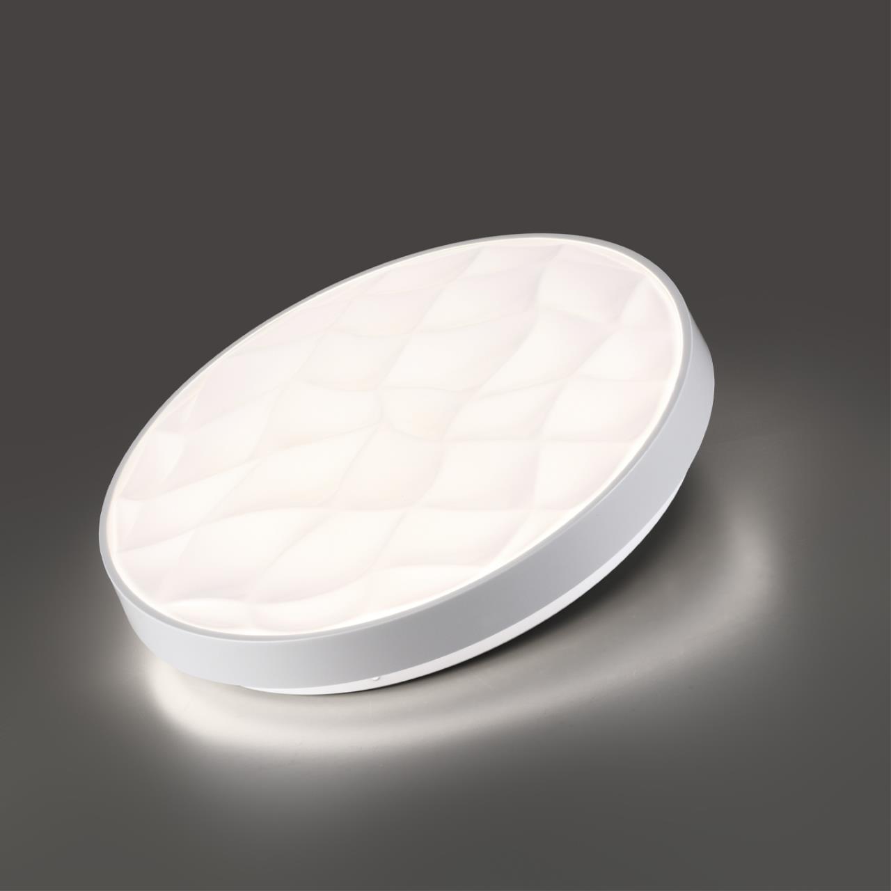 7672/EL PALE SN 204 Светильник пластик/белый LED 70Вт 3000-6000К D485 IP43 пульт ДУ GITUM — изображение 5