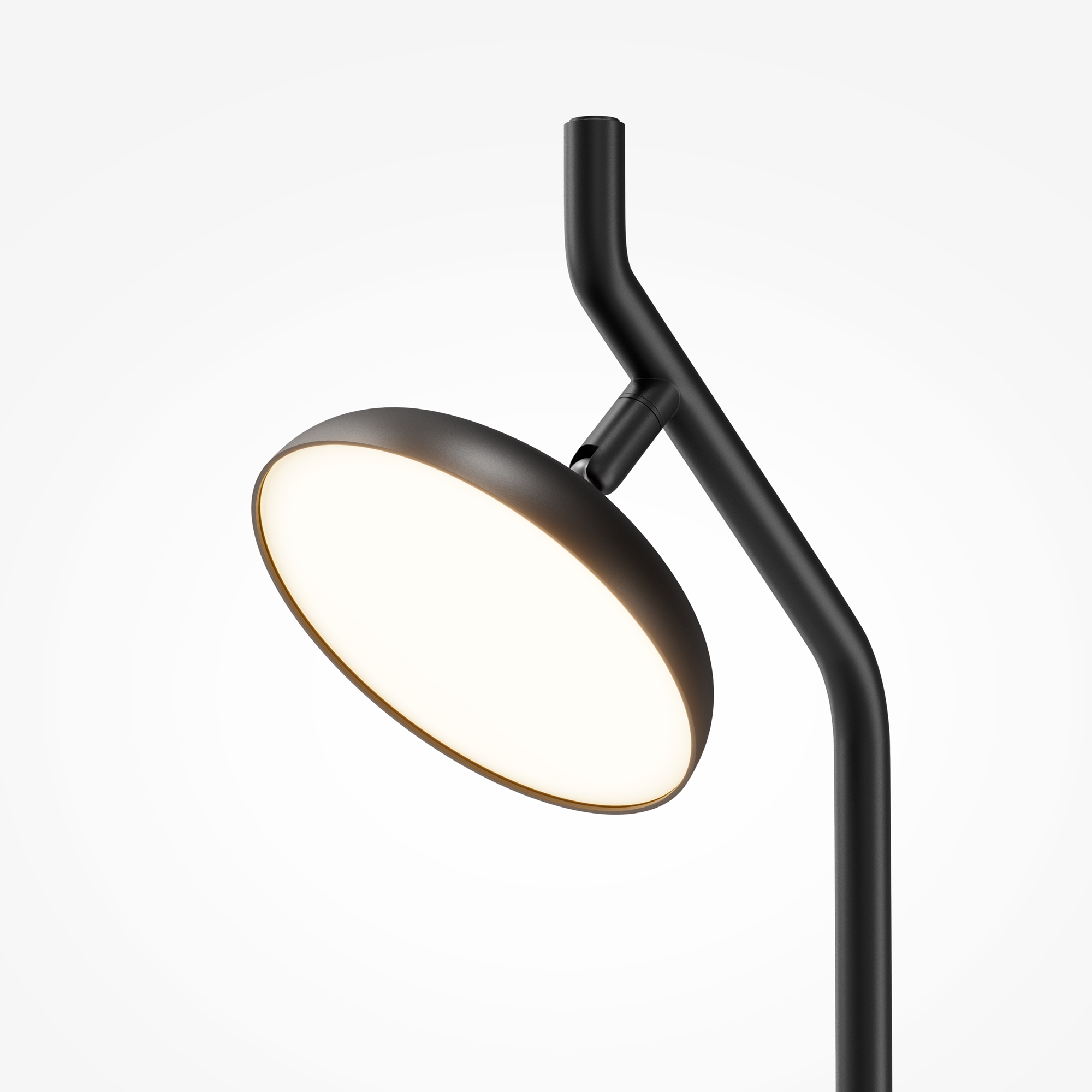 Напольный светильник (торшер) Maytoni MOD451FL-L8B3K — изображение 3